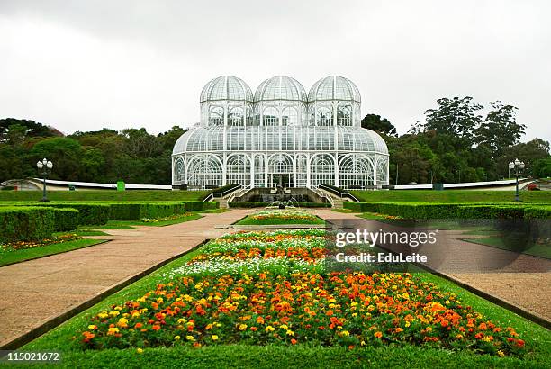 botanischer garten "greenhouse" - curitiba stock-fotos und bilder