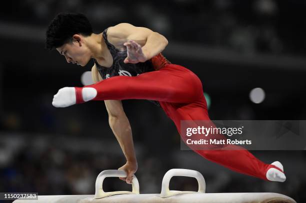 Kakeru Tanigawa of Japan competes on the Pommel Horse during day two of the Artistic Gymnastics NHK Trophy at Musashino Forest Sport Plaza on May 19,...