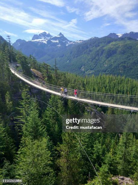 suspension bridge passing - squamish stock pictures, royalty-free photos & images
