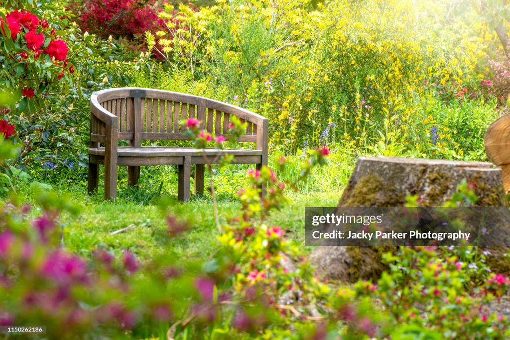 A wooden garden bench in a tranquil spring English garden with hazy sunshine