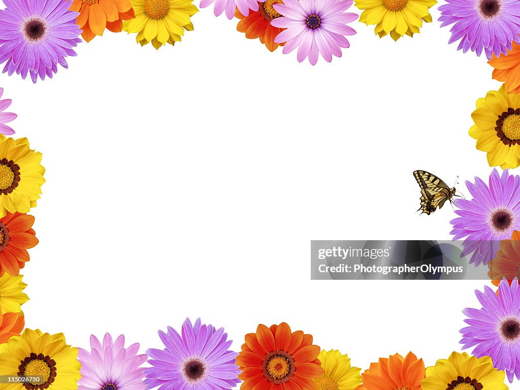 Spring Pattern Frame Spring Frame High-Res Stock Photo - Getty Images