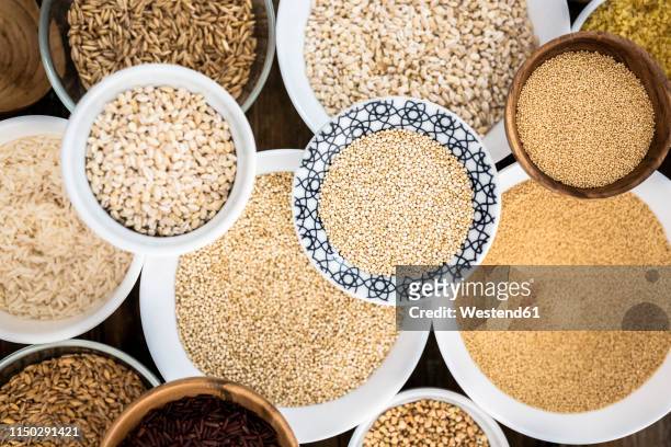 cereal mix: red rice, black rice, barley, amaranth, quinoa, rice, bulgur, spelt, oats and buckwheat - quinoa stock-fotos und bilder