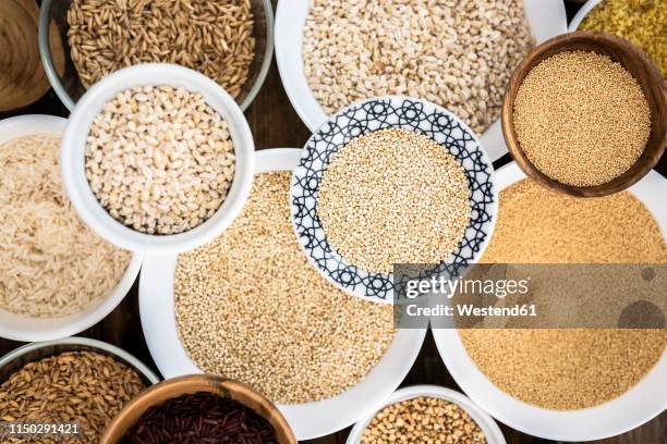 cereal mix: red rice, black rice, barley, amaranth, quinoa, rice, bulgur, spelt, oats and buckwheat - a variety of breakfast cereals stock pictures, royalty-free photos & images