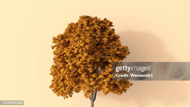 3d rendering, autumnal tree - single tree autumn stock illustrations