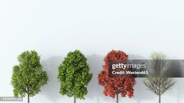 illustrations, cliparts, dessins animés et icônes de 3d rendering, tree in the four seasons - 4 saisons