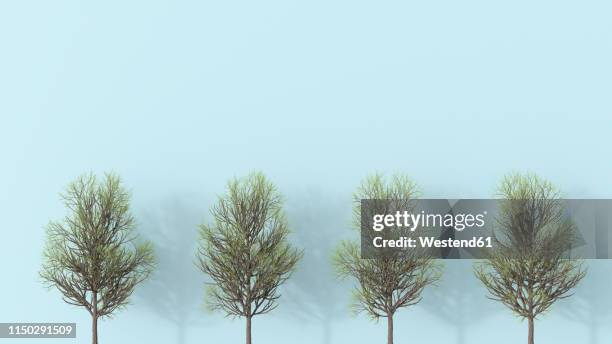 3d rendering, row of bare trees - bare tree stock illustrations