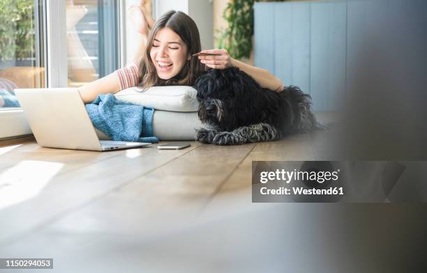 happy young woman with dog lying at the window at home shopping online - internet dog stock pictures, royalty-free photos & images