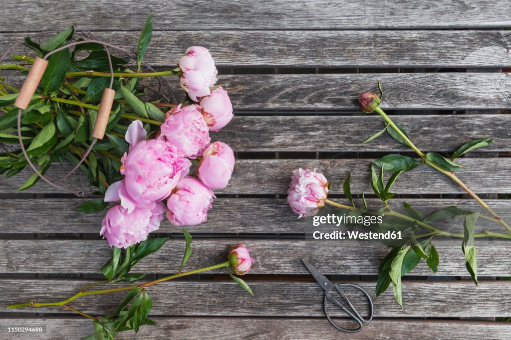 Peonies in basket on garden table