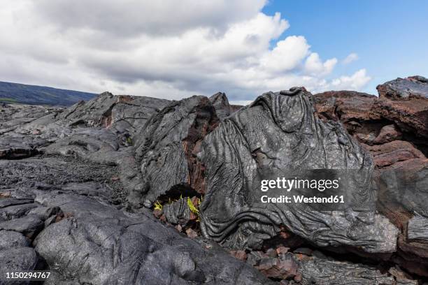 Apuki 16 Apuki Stock Photos, High-Res Pictures, and Images - Getty Images