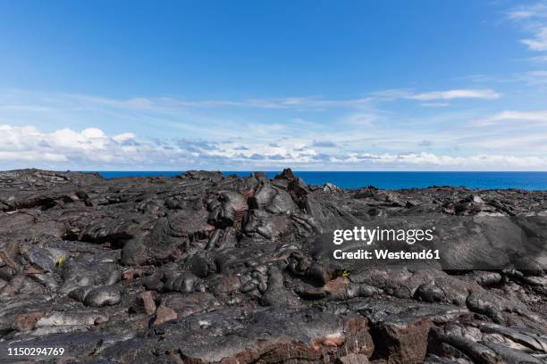 Apuki 16 Apuki Stock Photos, High-Res Pictures, and Images - Getty Images