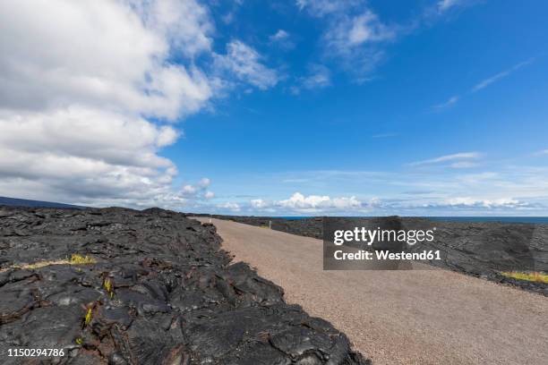 Apuki 16 Apuki Stock Photos, High-Res Pictures, and Images - Getty Images