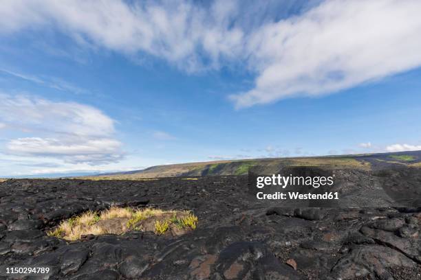 Apuki 16 Apuki Stock Photos, High-Res Pictures, and Images - Getty Images