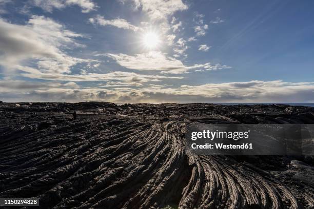 Apuki 16 Apuki Stock Photos, High-Res Pictures, and Images - Getty Images