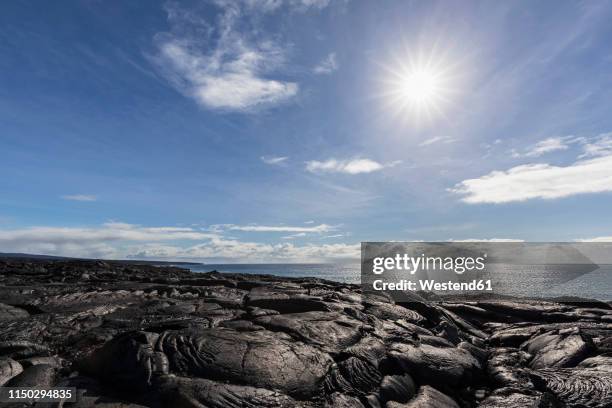 Apuki 16 Apuki Stock Photos, High-Res Pictures, and Images - Getty Images