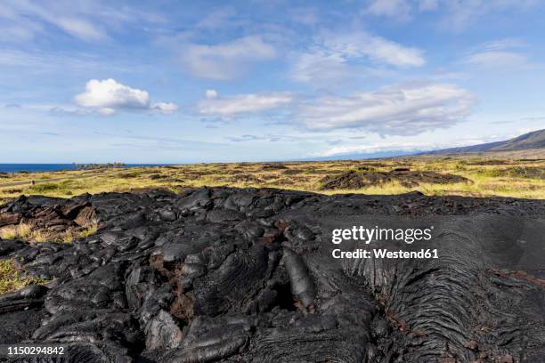 Apuki 16 Apuki Stock Photos, High-Res Pictures, and Images - Getty Images