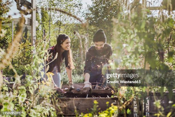 happy couple gardening in urban garden together - landwirtschaft deutschland stock-fotos und bilder