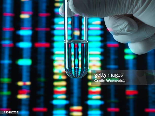 genetic research, dna profile reflected in a test tube containing a sample - dna tube stock pictures, royalty-free photos & images