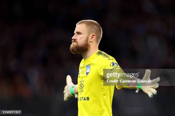 Andrew Redmayne of Sydney FC celebrates saving a goal during the penalty shoot out after extra time during the 2019 A-League Grand Final match...