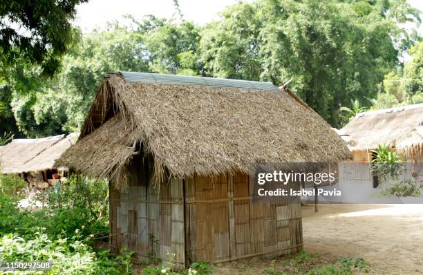 hut with thatched roof in golden triangle, chiang rai province, thailand - shack stock pictures, royalty-free photos & images