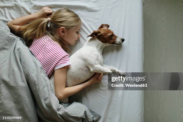 blond girl lying on bed with her dog sleeping, top view - bed side view stock pictures, royalty-free photos & images