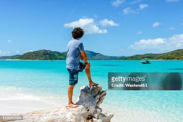 australia, queensland, whitsunday island, man standing on log at whitehaven beach - swimming shorts stock pictures, royalty-free photos & images