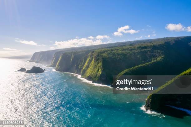 usa, hawaii, big island, pacific ocean, pololu valley lookout, kohala forest reserve, aerial view - isole hawaii stock pictures, royalty-free photos & images