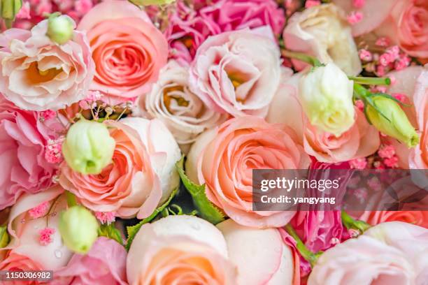 romantic pink roses - birthday present stockfoto's en -beelden