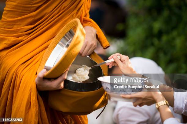 people tak bat or give alm to monks by putting cooked rice in the alm bowl - buddha purnima stock pictures, royalty-free photos & images