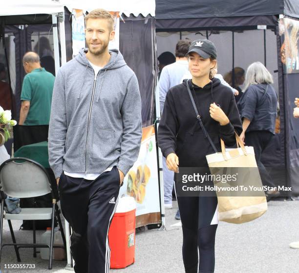 Calvin Harris and Aarika Wolf are seen on June 16, 2019 in Los Angeles, California.