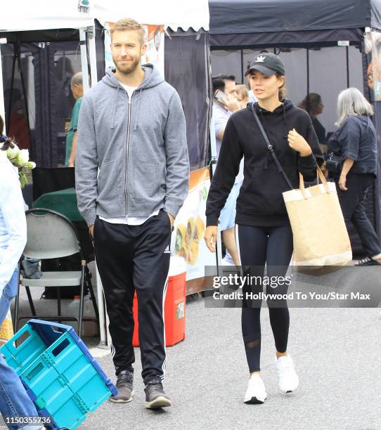 Calvin Harris and Aarika Wolf are seen on June 16, 2019 in Los Angeles, California.