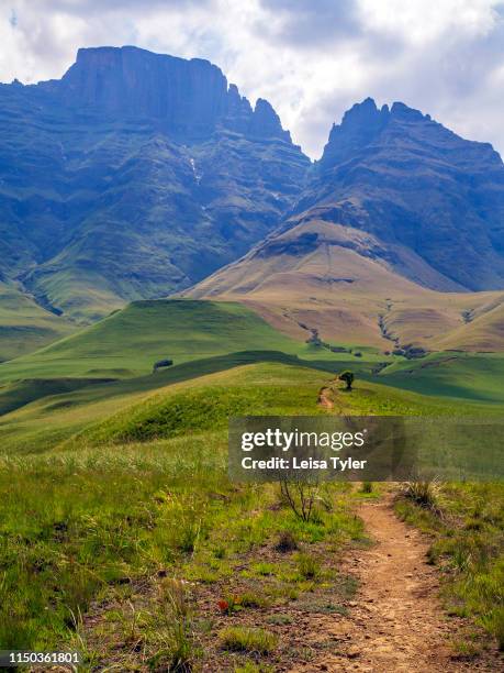 Walking trail leading to Monks Cowl in the Drakensberg Mountains, South Africa. The mountain lends its name to the surrounding area, protected as a...