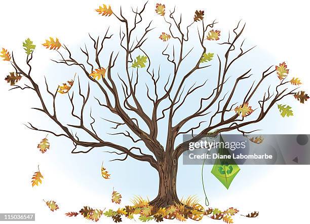 bare tree with kite - oak tree vector stock illustrations