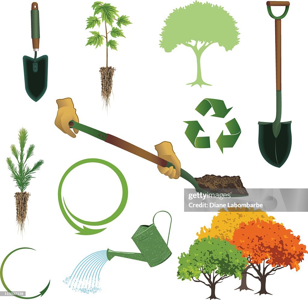 Arbor Day Collection