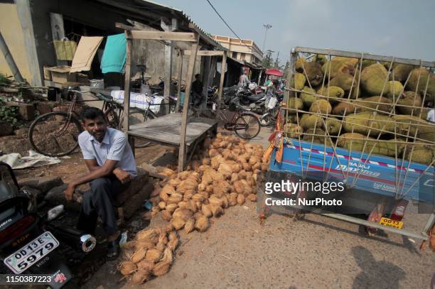 . Local villagers load and stock their harvested coconuts on wayside as they are waiting for customers to sale it at Sakhigopal village in Puri...