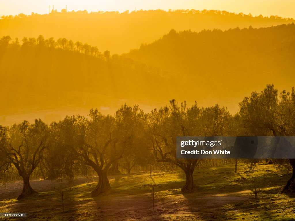 Tuscany and Umbria region of Italy
