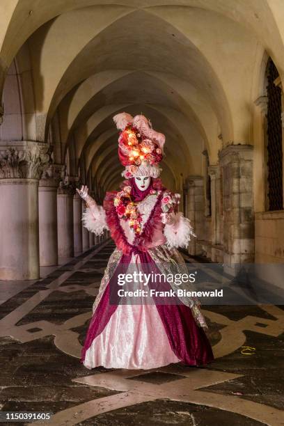 Portrait of a feminine masked person in a beautiful creative costume, posing in front of the Doge's Palace, Palazzo Ducale, celebrating the Venetian...