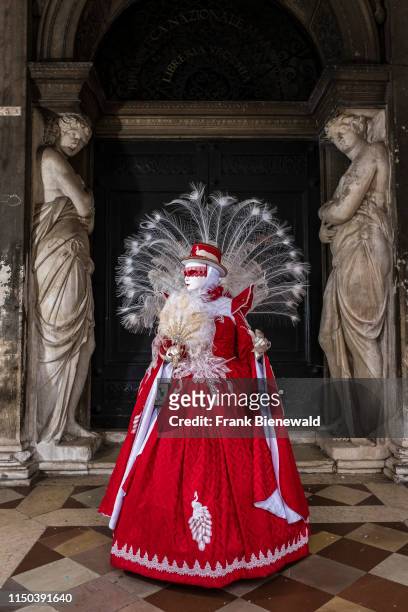 Feminine masked person in a beautiful creative costume, posing at the arcades of San Marco Square, Piazza San Marco, celebrating the Venetian...