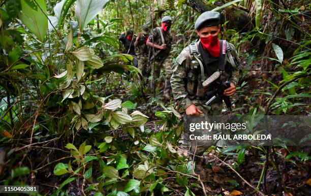 Members of the Ernesto Che Guevara front, belonging to the National Liberation Army guerrillas, patrols the jungle, in Choco department in Colombia,...