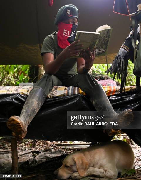 Members of the Ernesto Che Guevara front, belonging to the National Liberation Army guerrillas, study in a improvised camp in the jungle, in Choco...