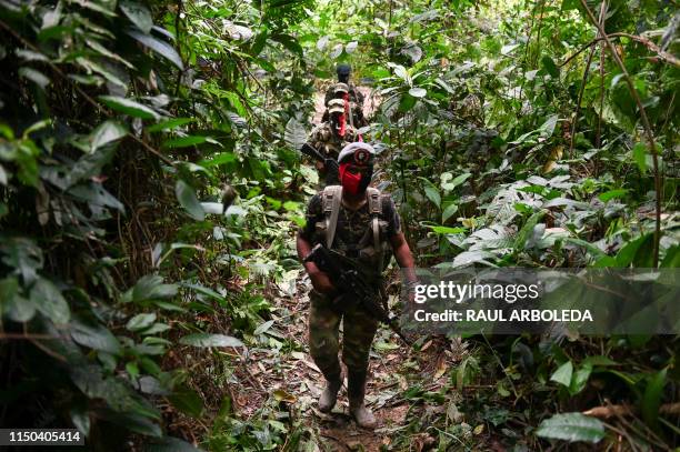 Members of the Ernesto Che Guevara front, belonging to the National Liberation Army guerrillas, patrols the jungle, in Choco department in Colombia,...