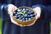 Young girl’s hands holding a bowl with fresh ripe blueberries.