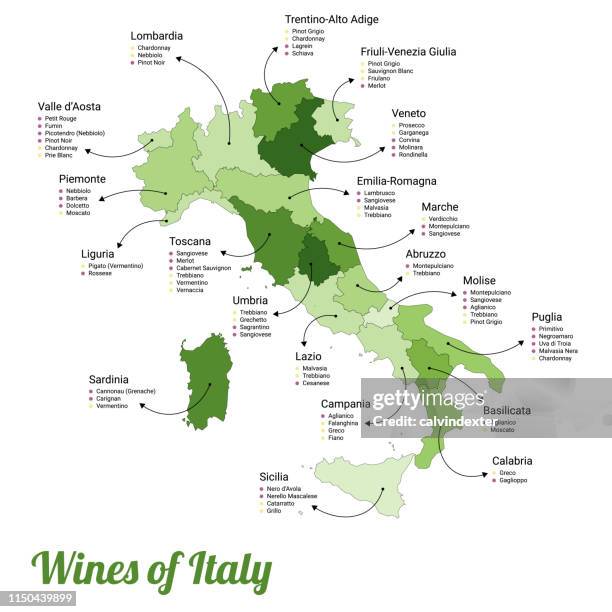 bildbanksillustrationer, clip art samt tecknat material och ikoner med karta över vinerna i italien och dess regioner - karta italien