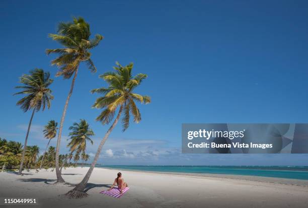 young woman on an empty beach - punta cana stock pictures, royalty-free photos & images