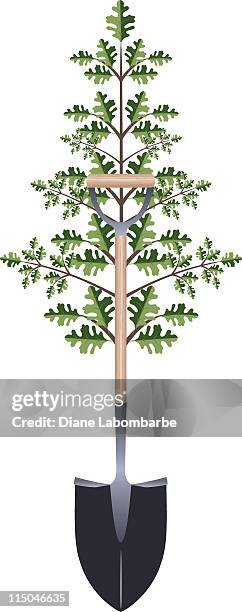 stockillustraties, clipart, cartoons en iconen met arbor day oak tree - nationale boomfeestdag