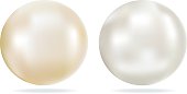 Ivory and White Pearls with Shining Looking Highlights