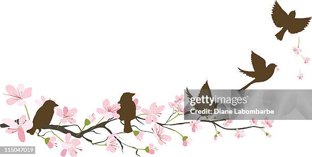 five brown sparrow silhouettes and cherry blossoms branch - sparrow flying stock illustrations