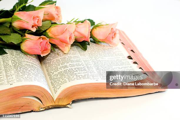 Pink Roses Bible Pink Holy Bible Photos and Premium High Res Pictures - Getty Images
