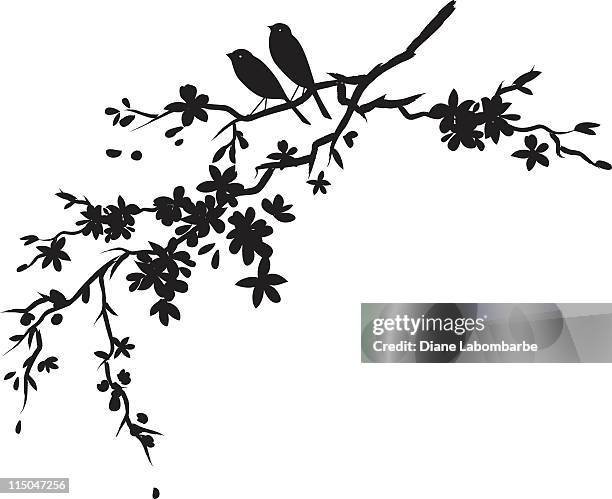 two little birds sitting on cherry blossoms branch black silhouette - japanese flowers stock illustrations