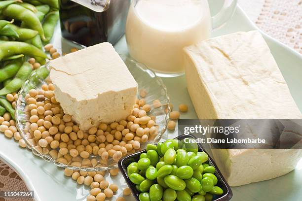 soy bean food and drink products photograph with several elements - soya milk stock pictures, royalty-free photos & images