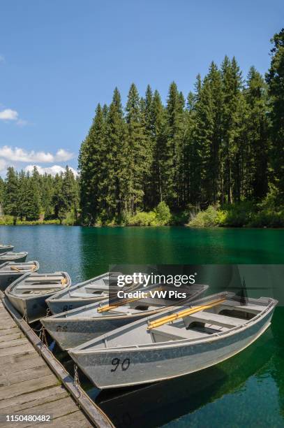 Row boats at Clear Lake Resort dock, Cascade Mountains, Oregon.